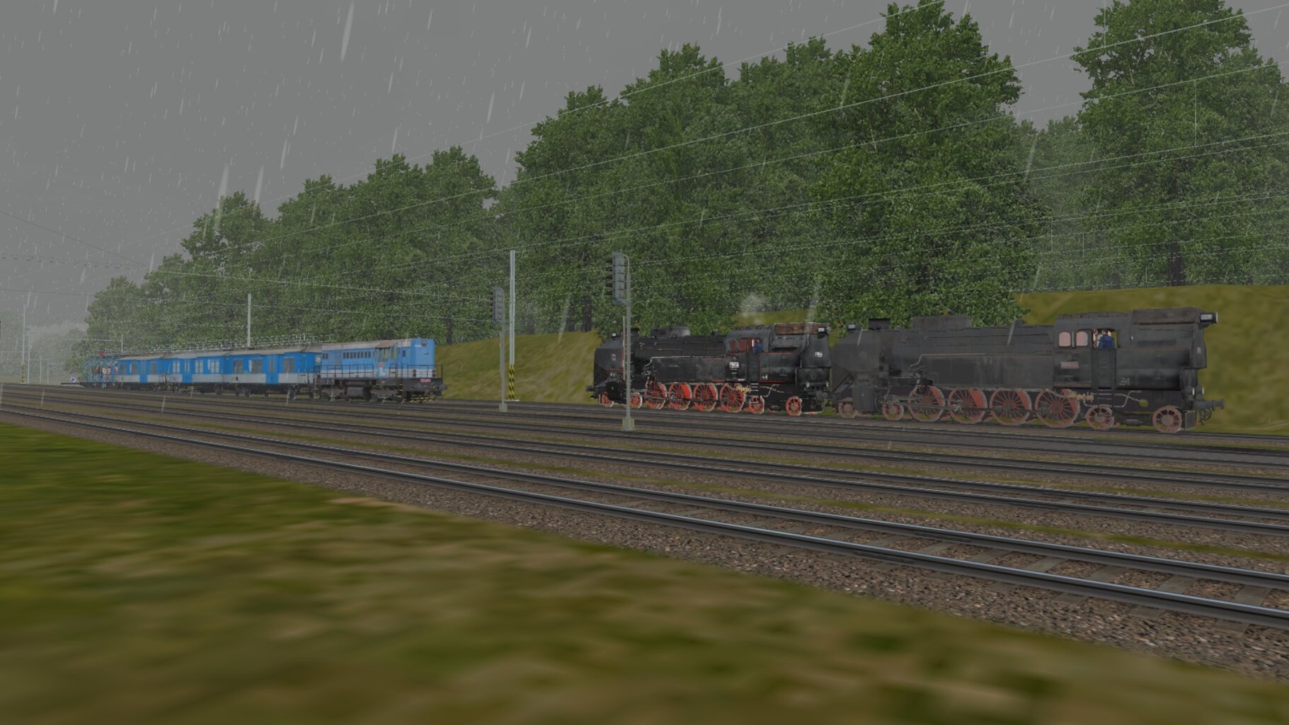 LS_095.jpg