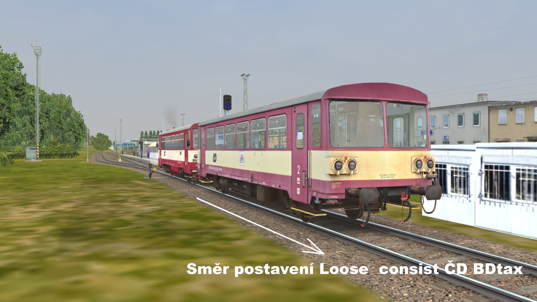 SVETLA.jpg
