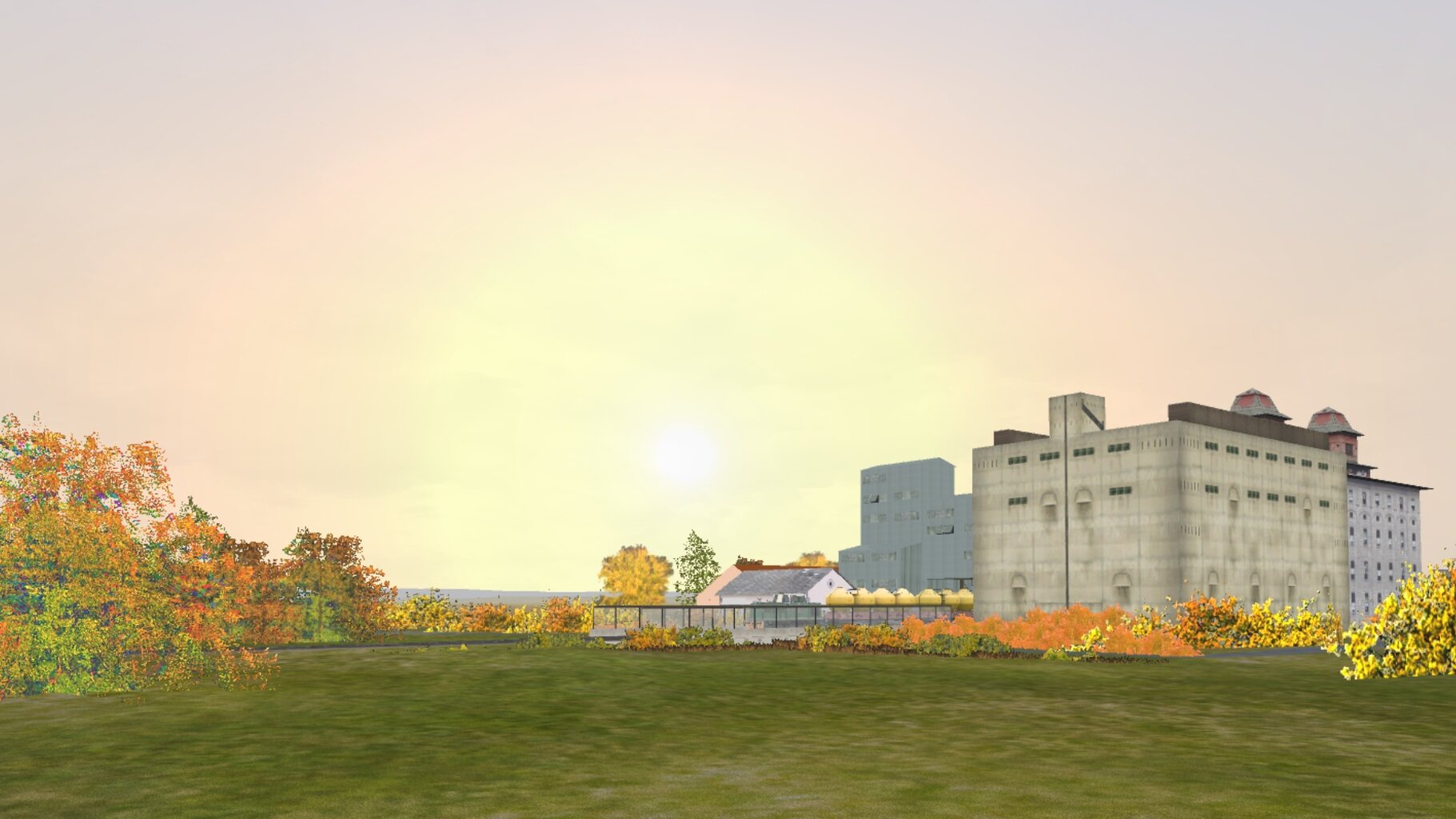 005.jpg