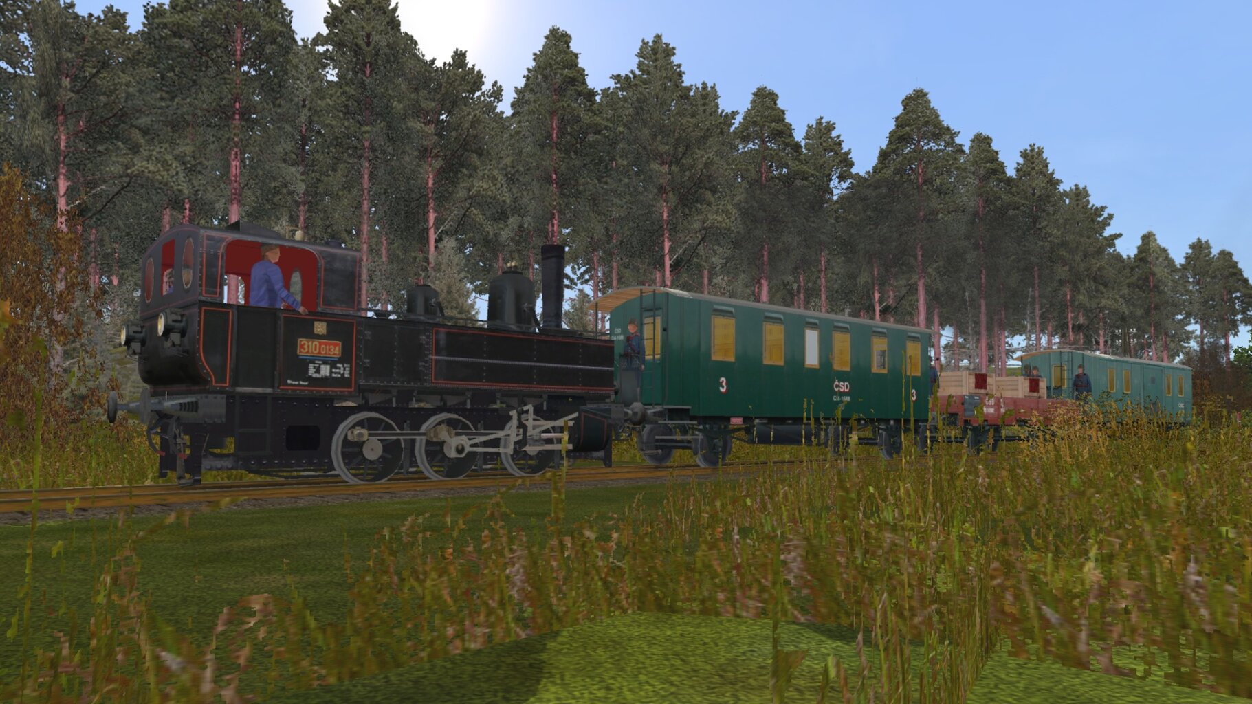 dyn006.jpg