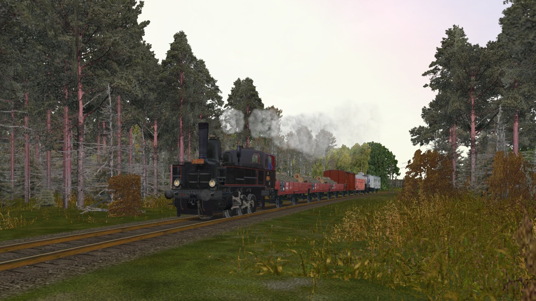 mn017.jpg