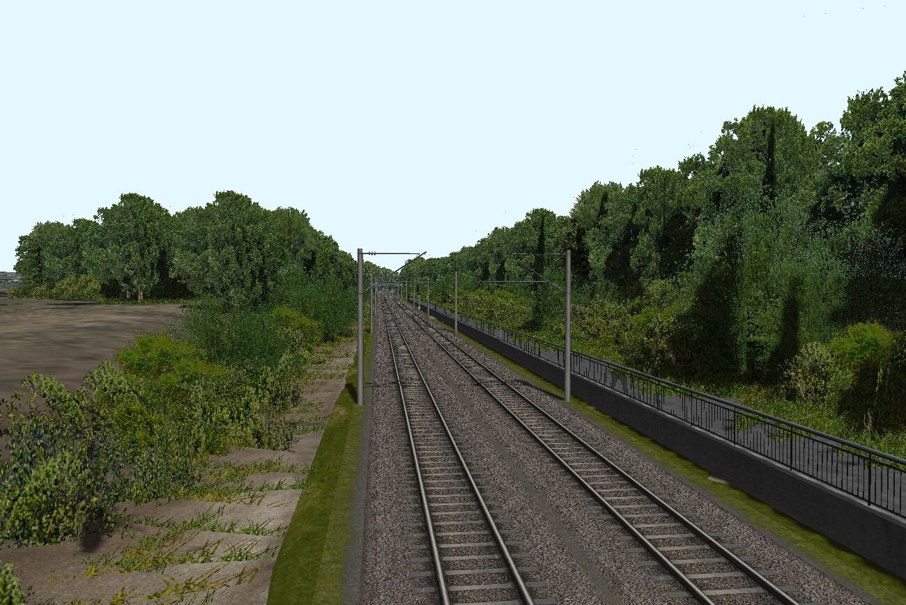 vegetace1.JPG