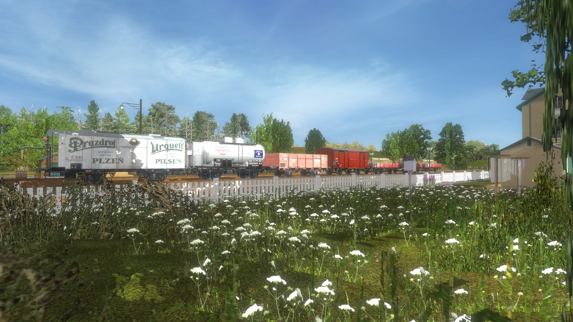 mn018.jpg