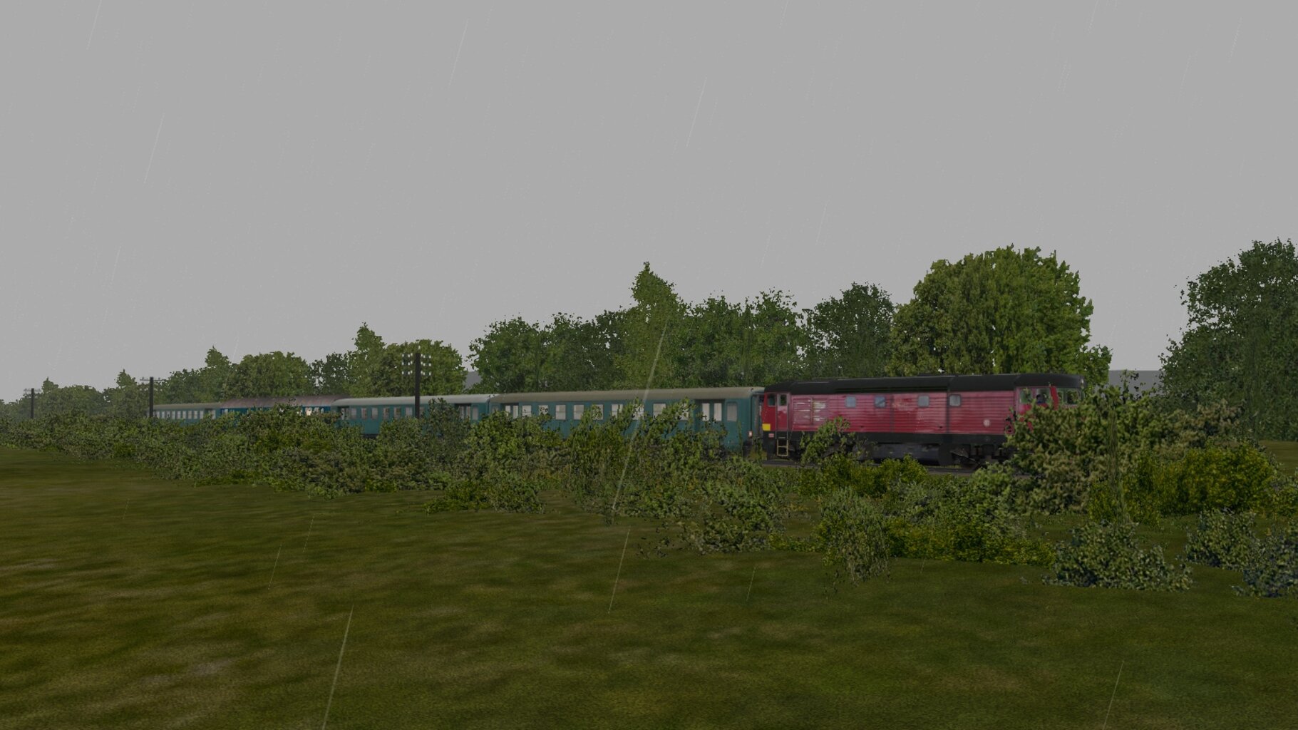 3606_011.jpg