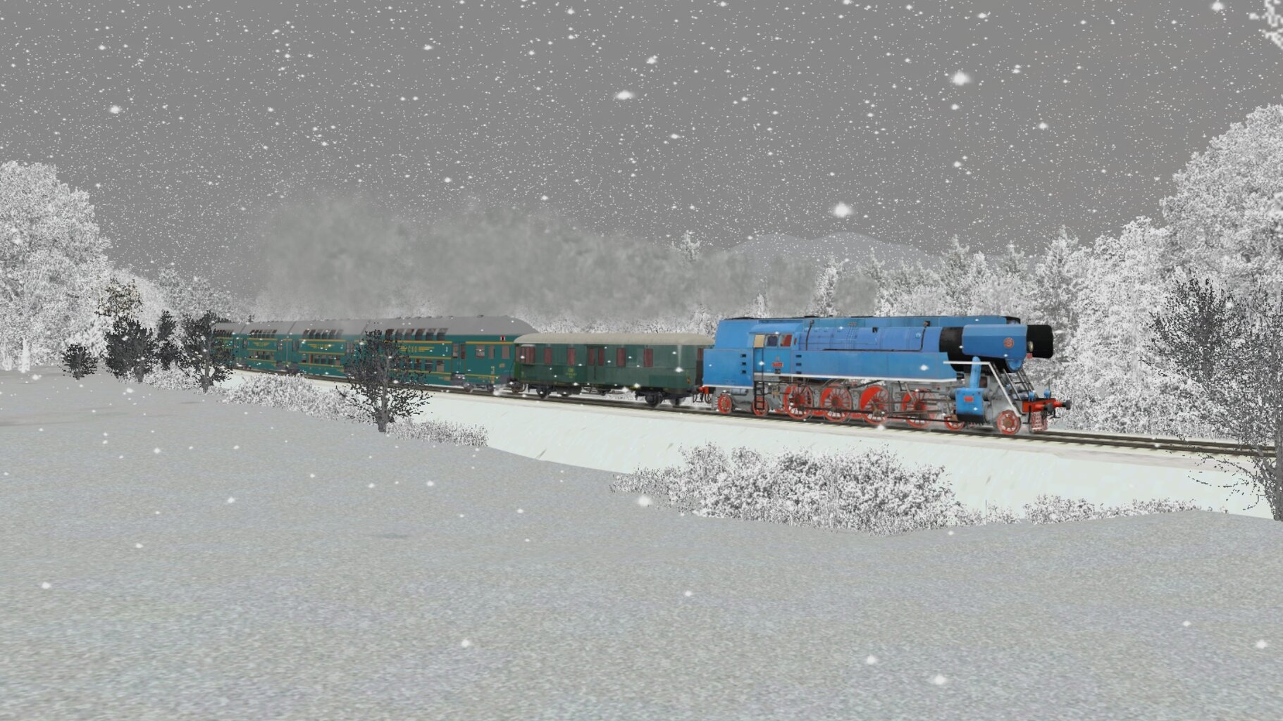 Zv103124_038.jpg