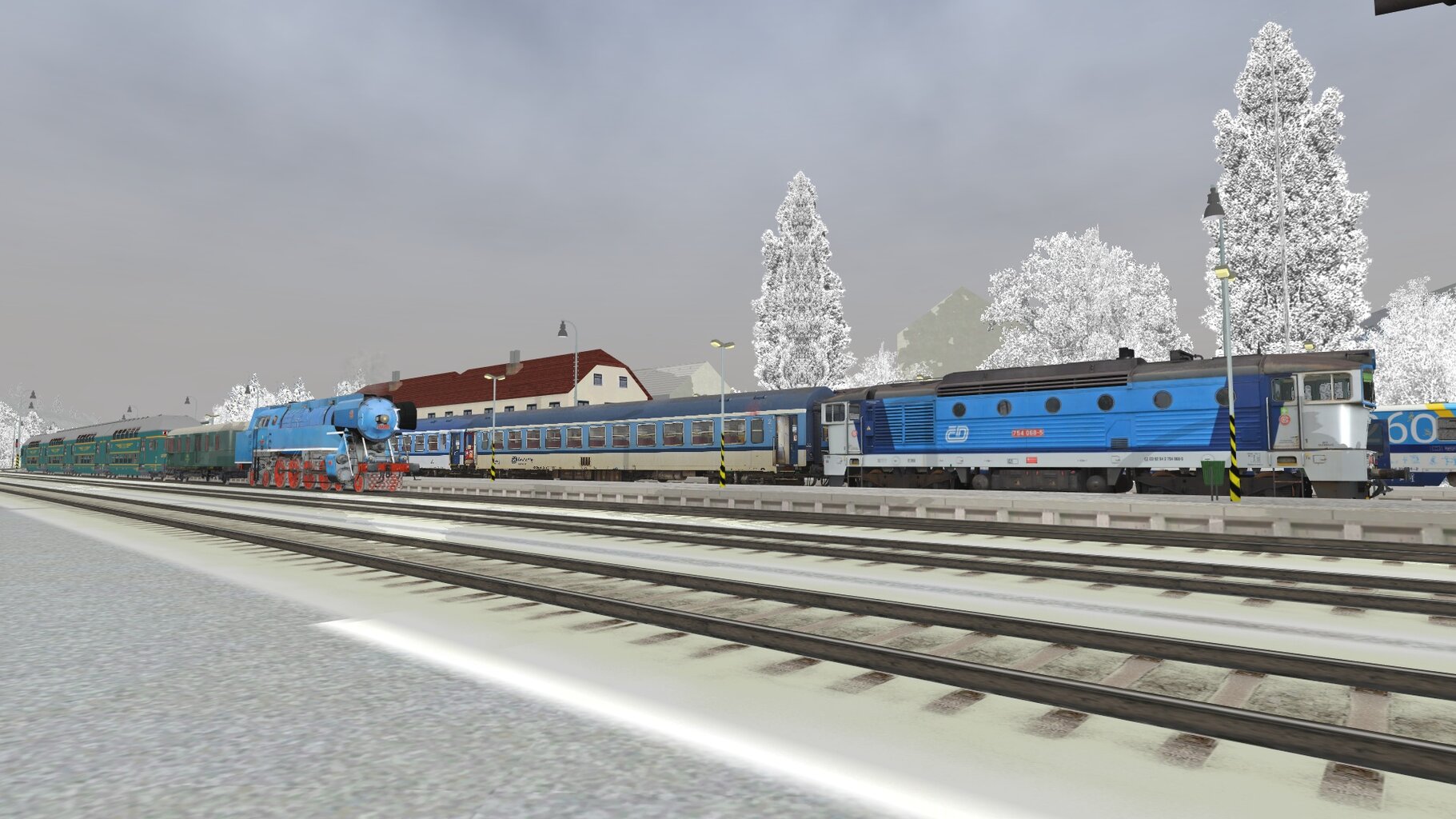 Zv103124_006.jpg