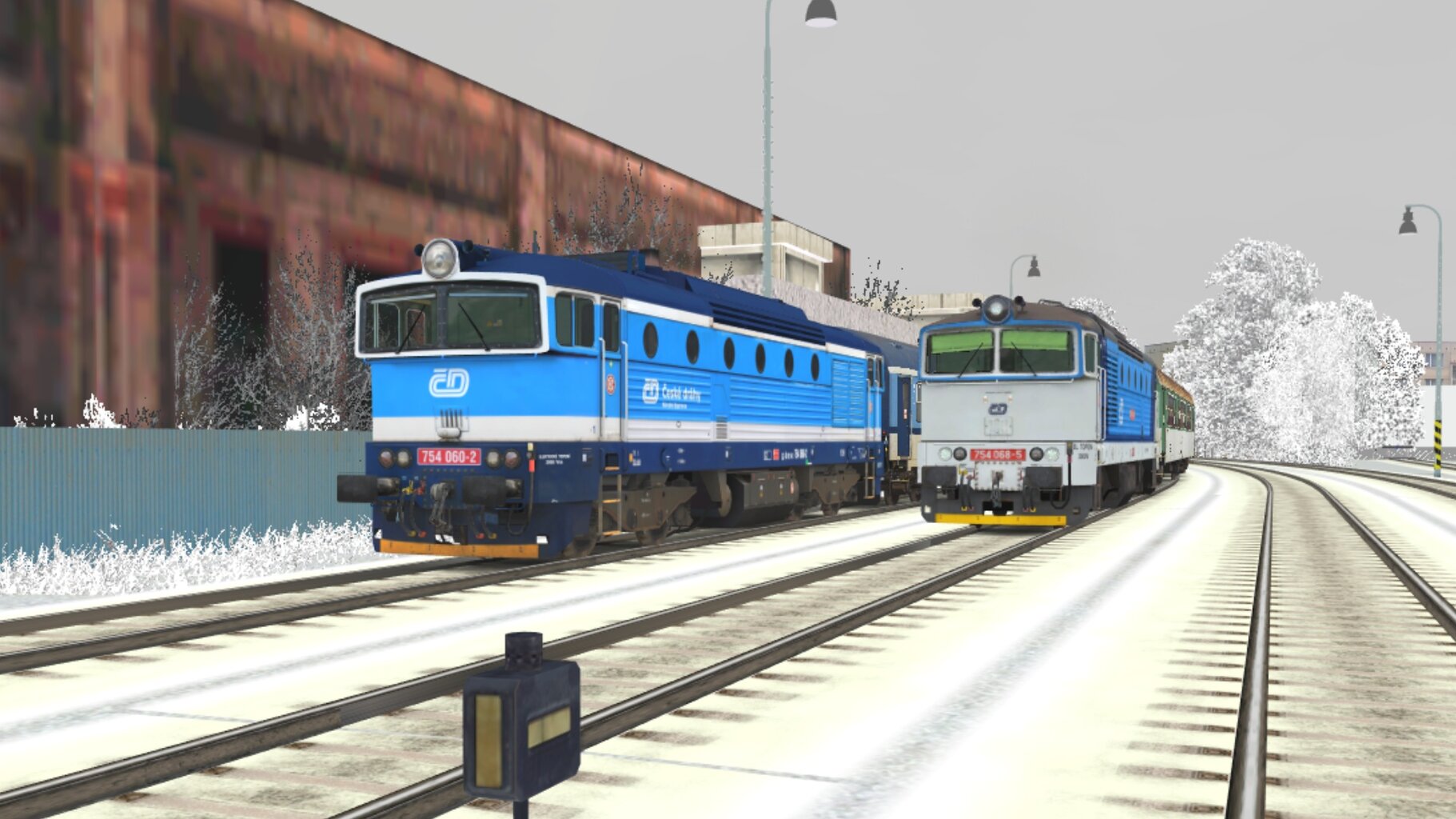 Zv103124_013.jpg