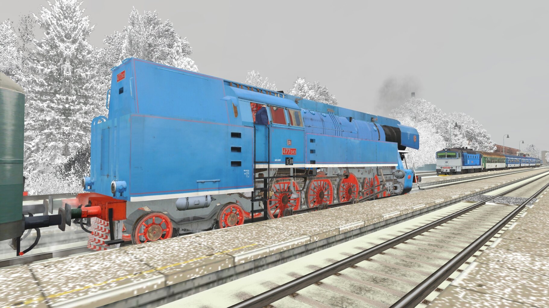 Zv103124_014.jpg