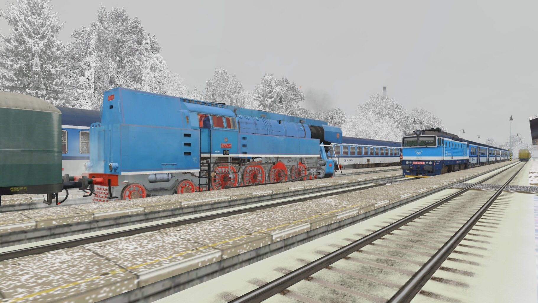 Zv103124_017.jpg