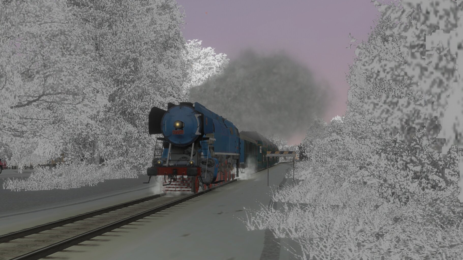 009.jpg
