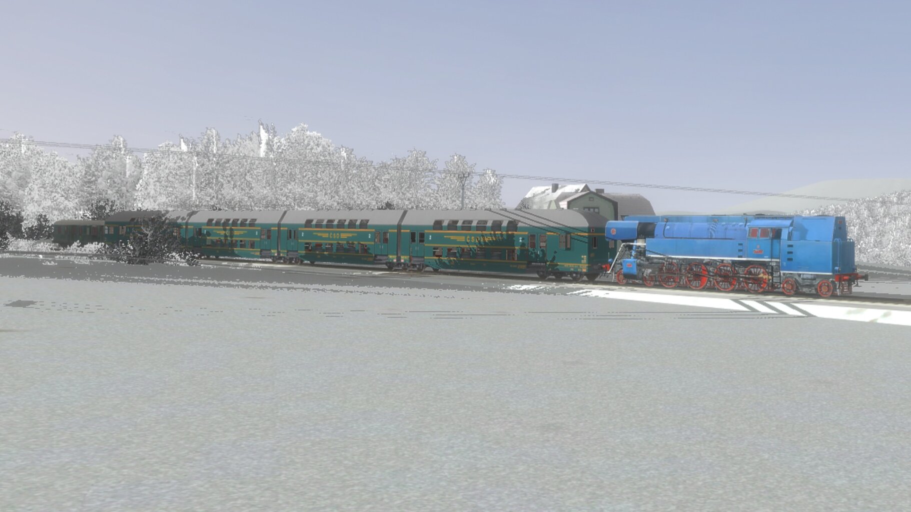 Zv103139_002.jpg