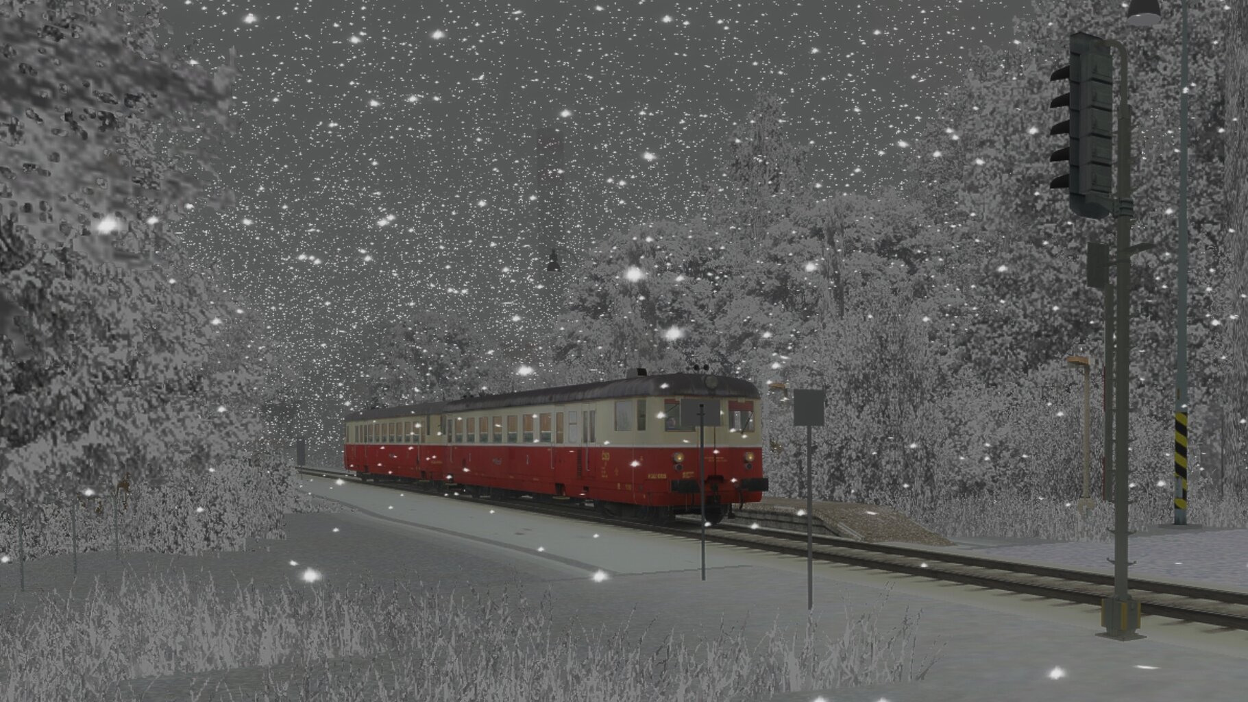 Zv103139_007.jpg