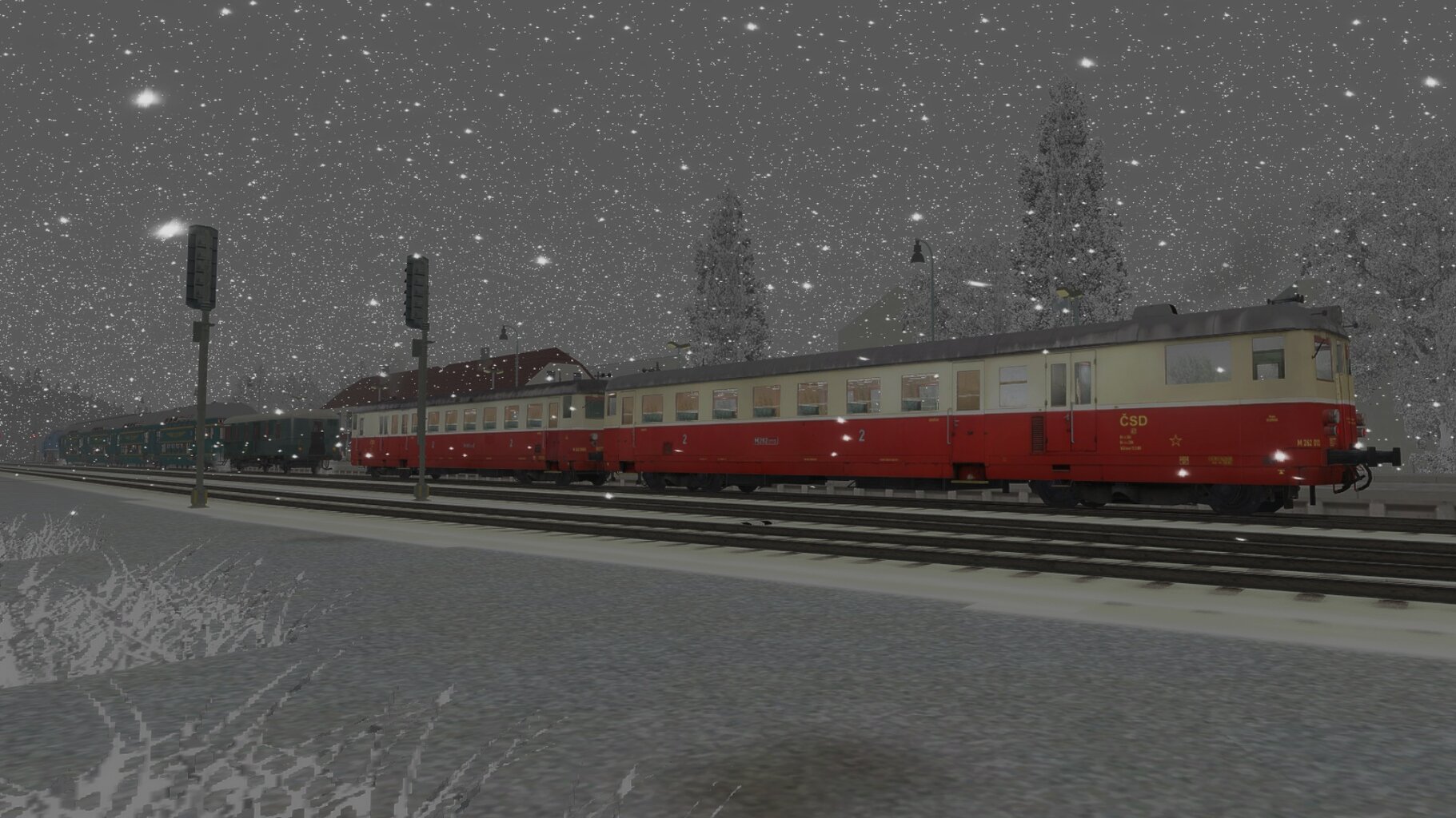 Zv103139_008.jpg