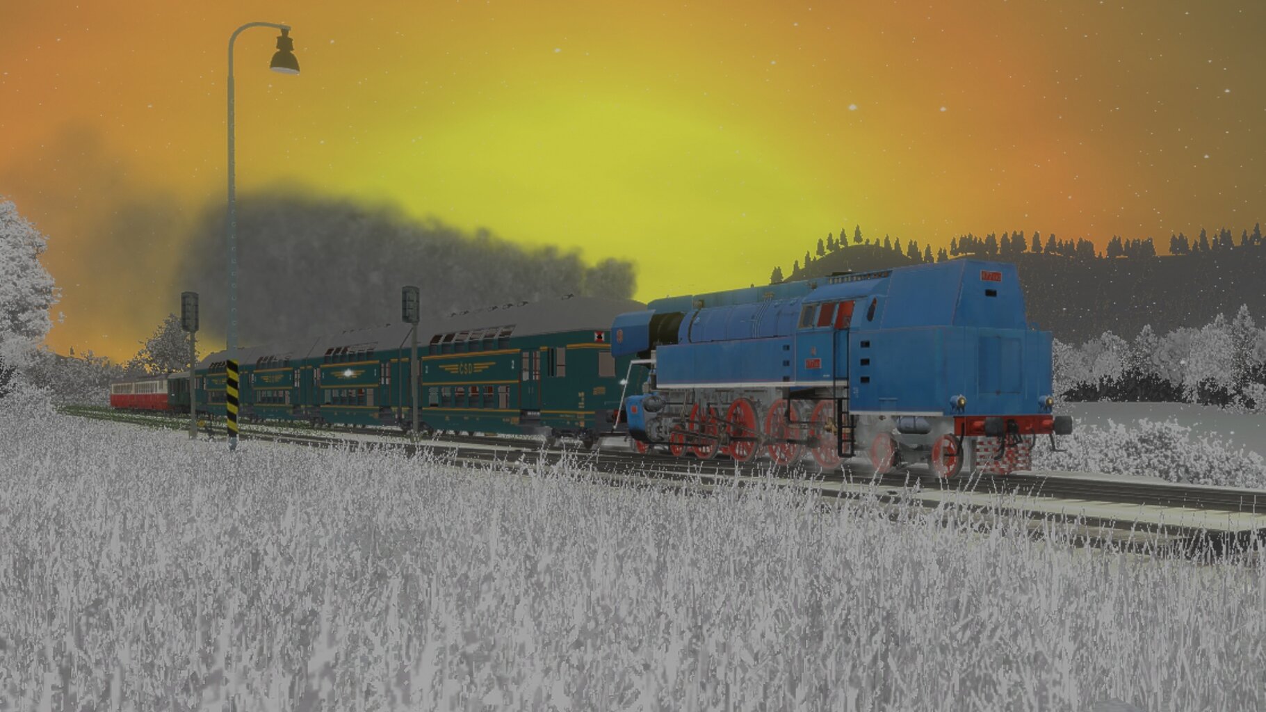 Zv103139_009.jpg