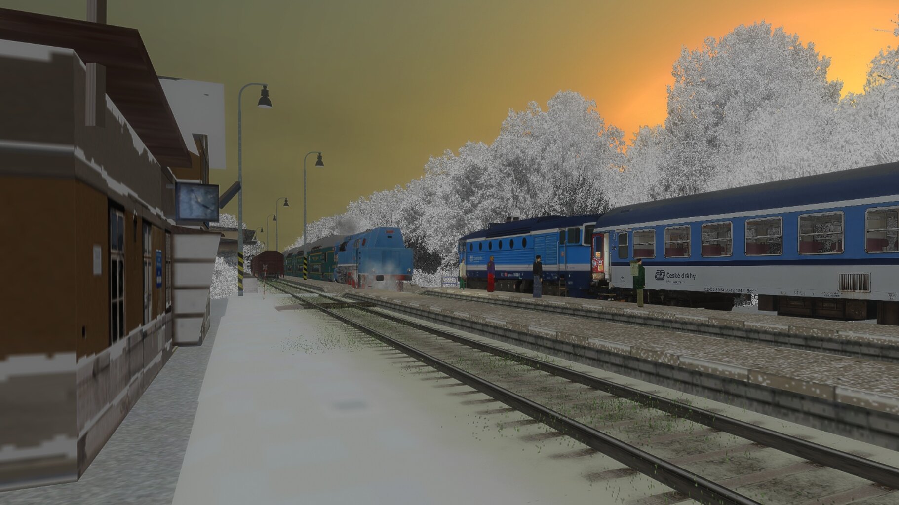 Zv103139_010.jpg