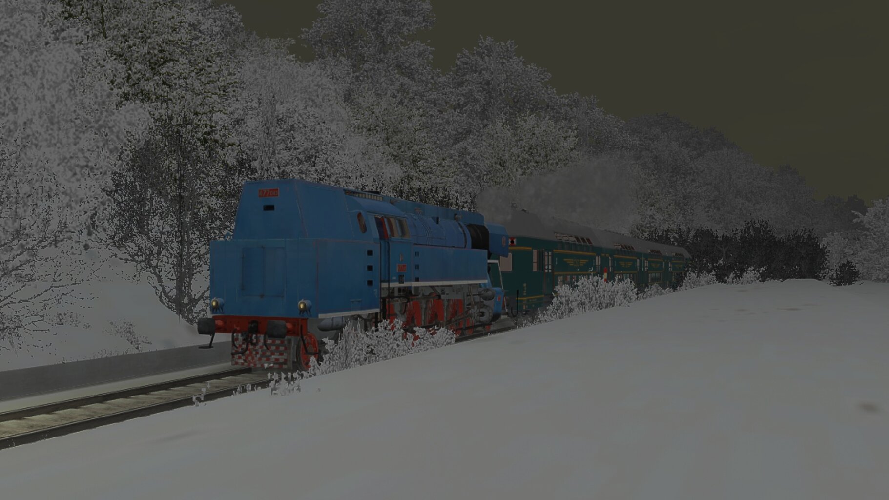 Zv103139_016.jpg