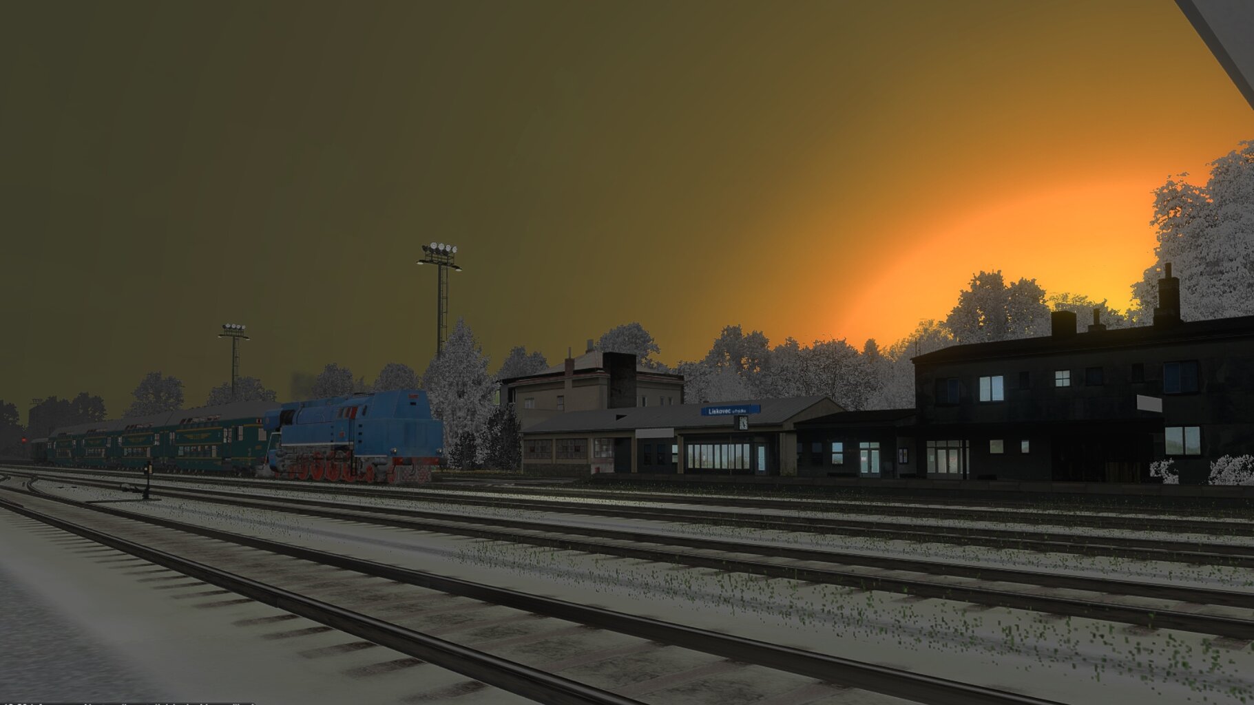 Zv103139_017.jpg