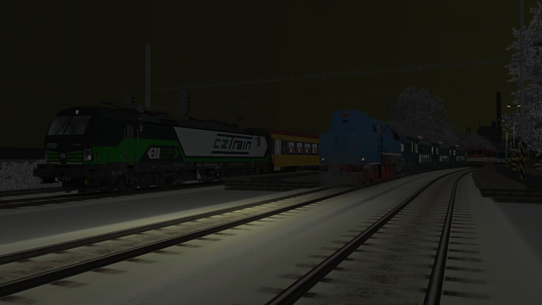 Zv103139_022.jpg