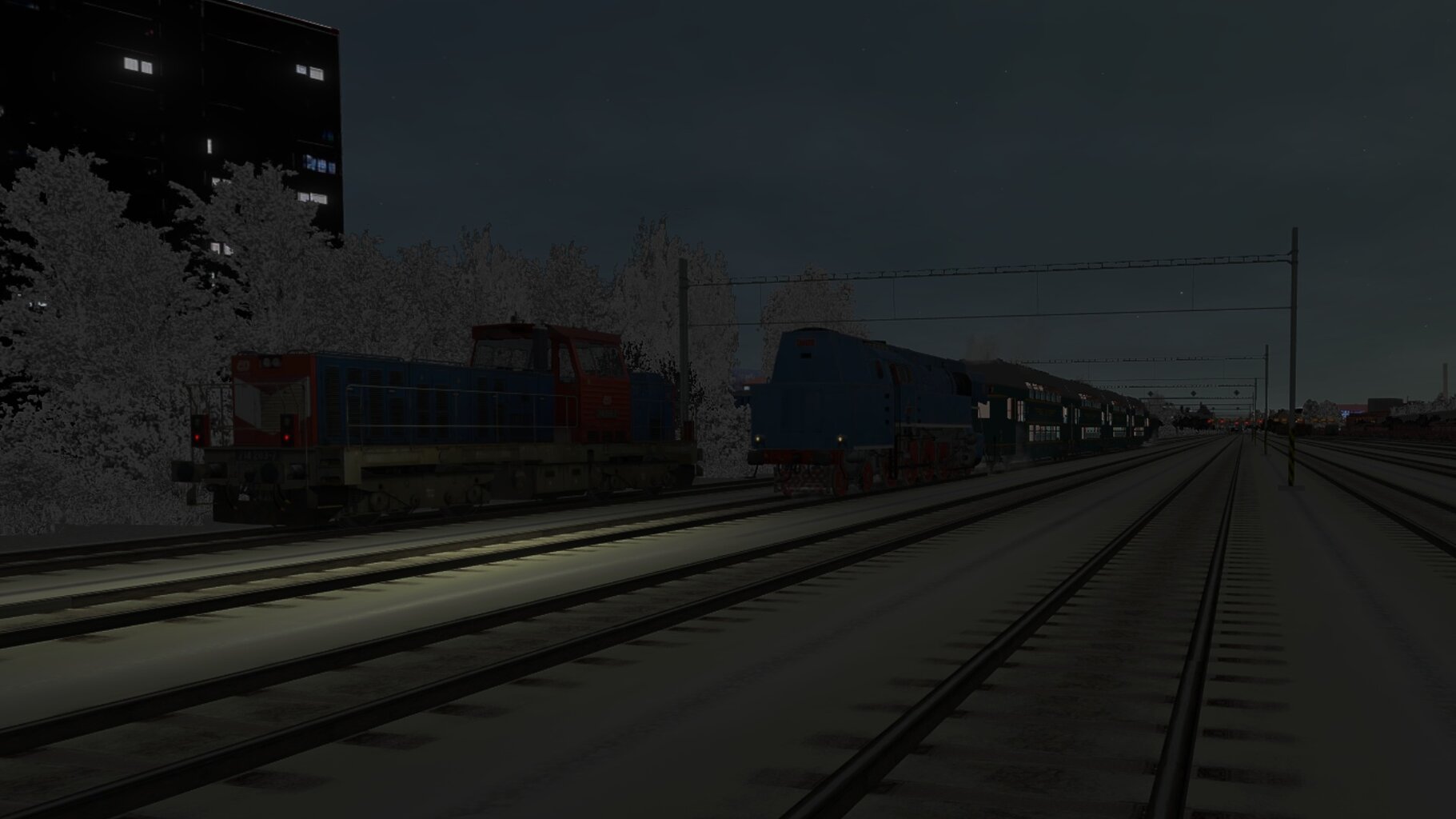 Zv103139_023.jpg