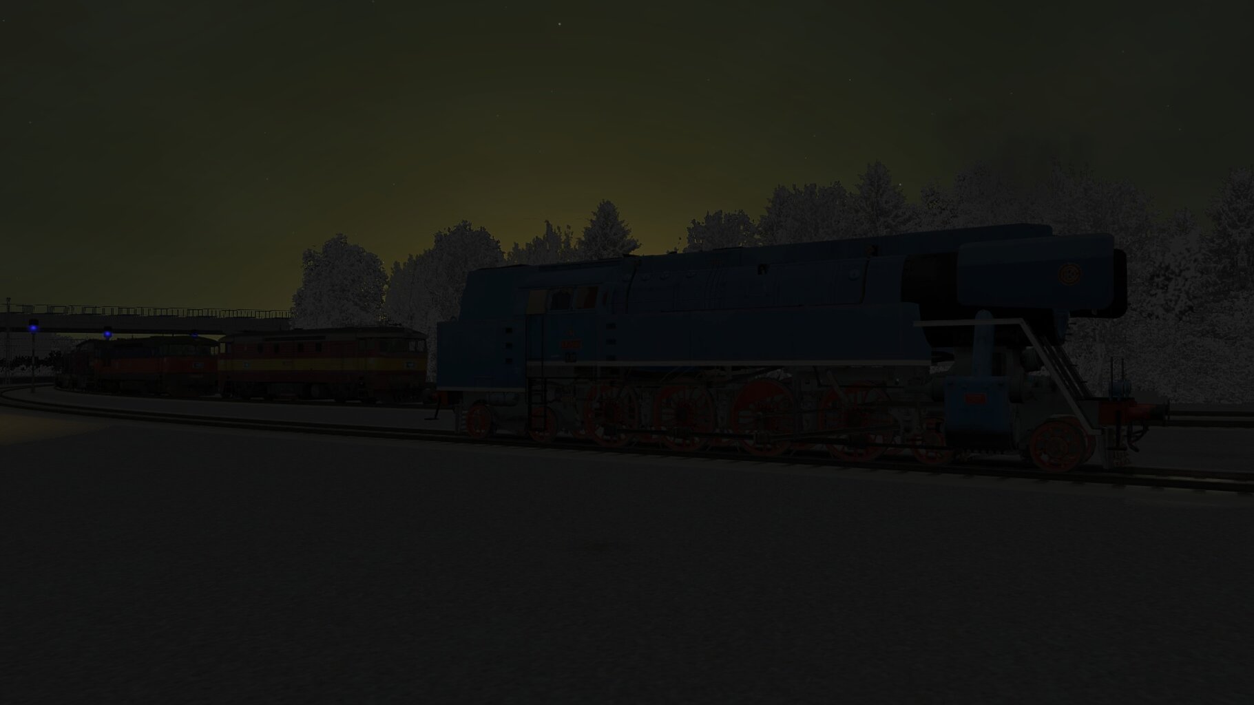 Zv103139_028.jpg