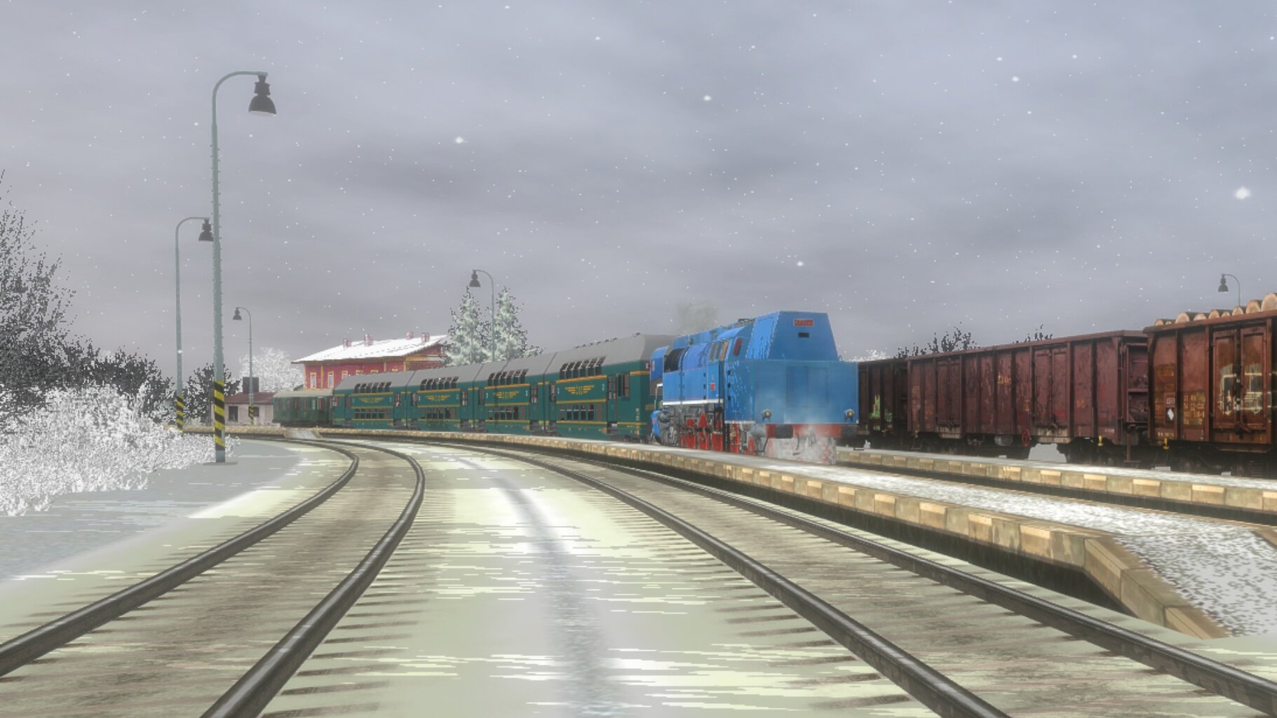 Zv103139_002.jpg
