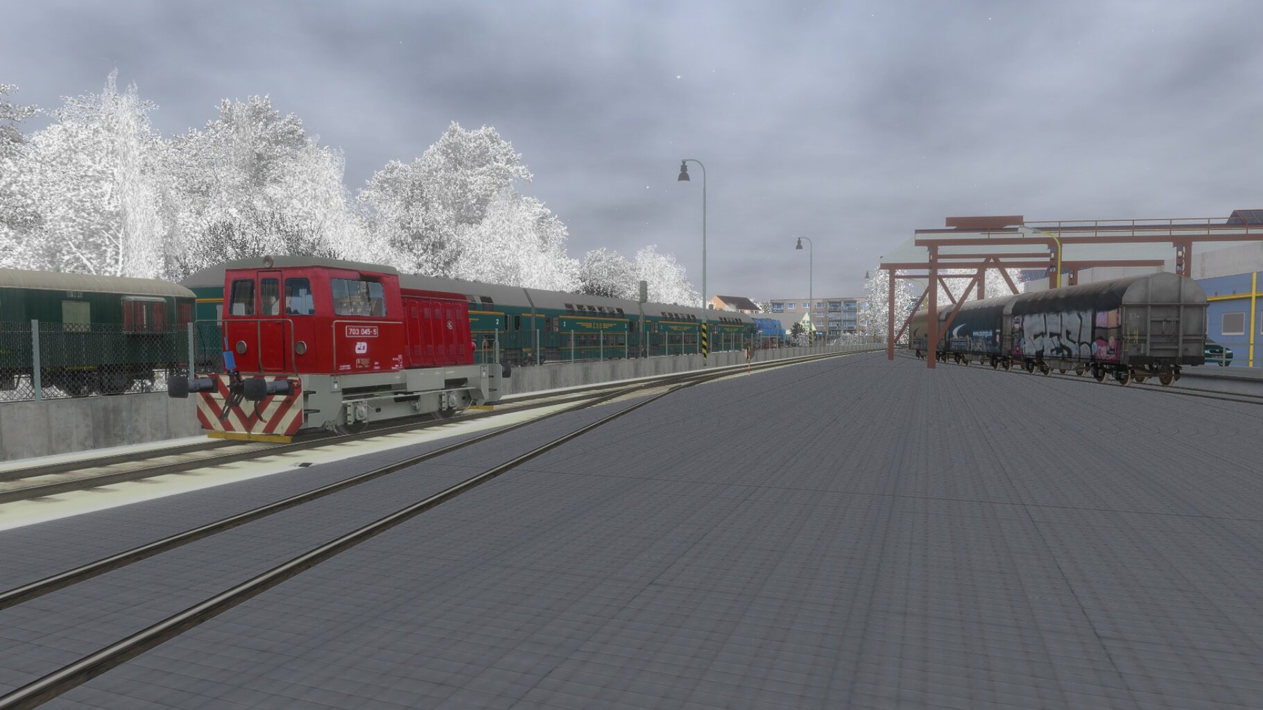 Zv103139_004.jpg