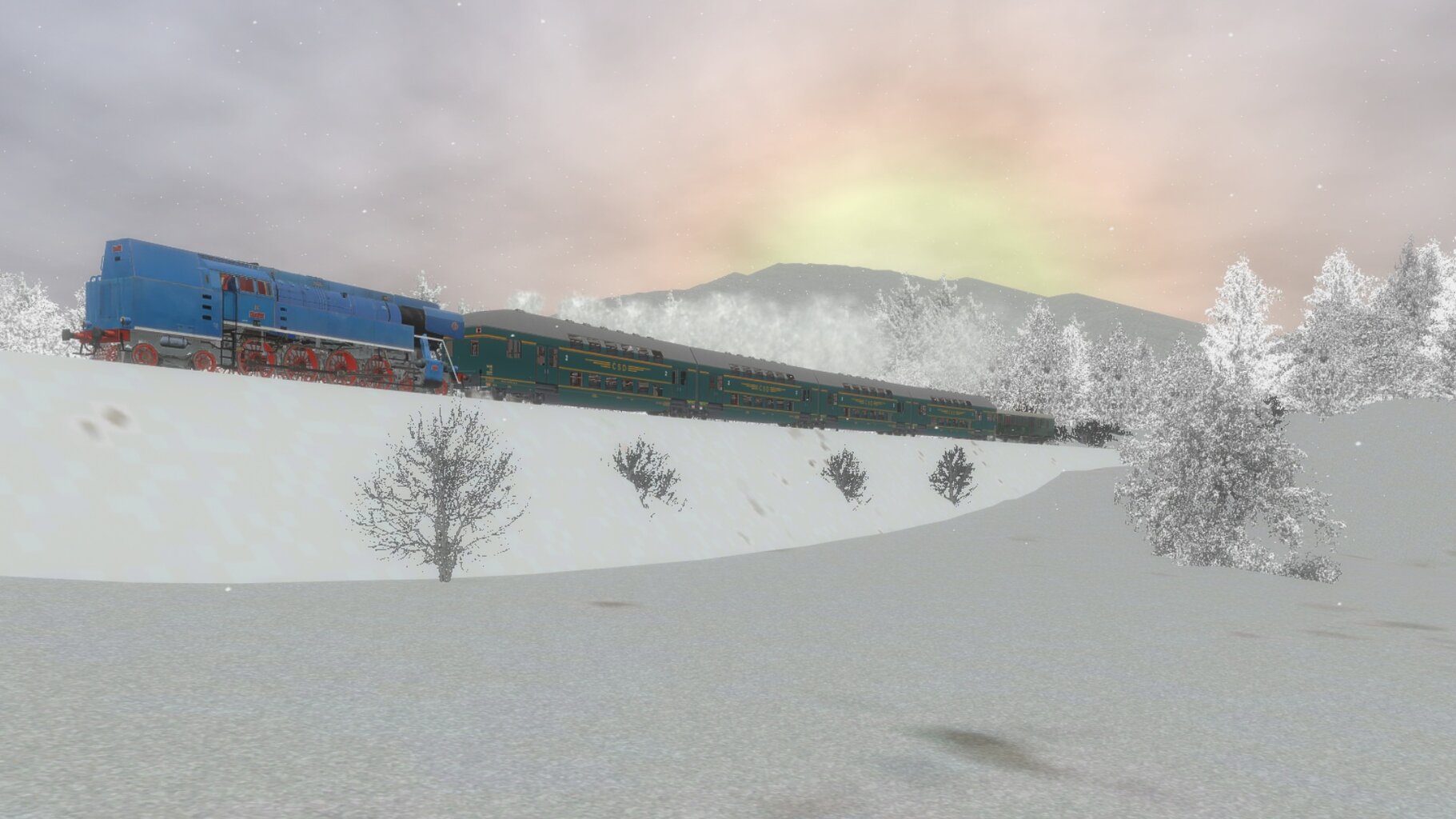 Zv103139_007.jpg