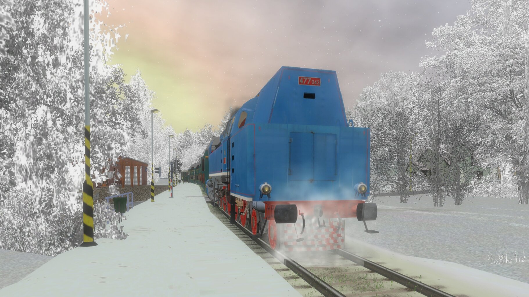 Zv103139_010.jpg