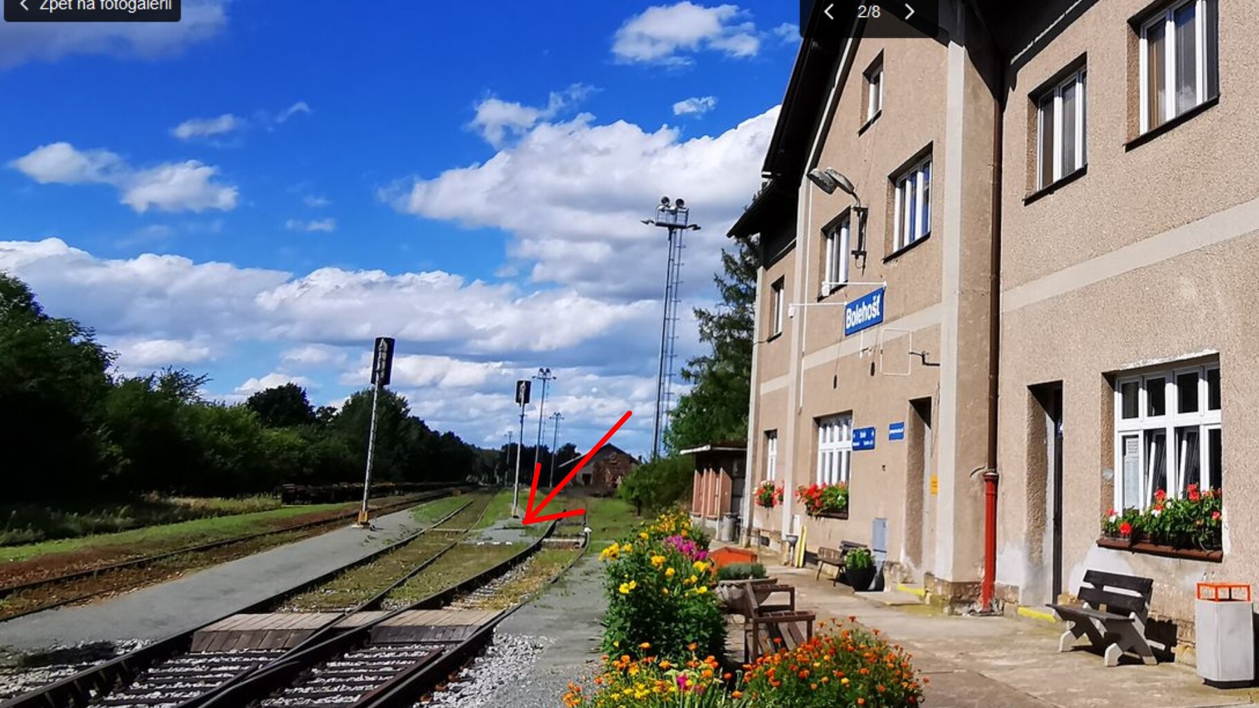 bolehost2.jpg