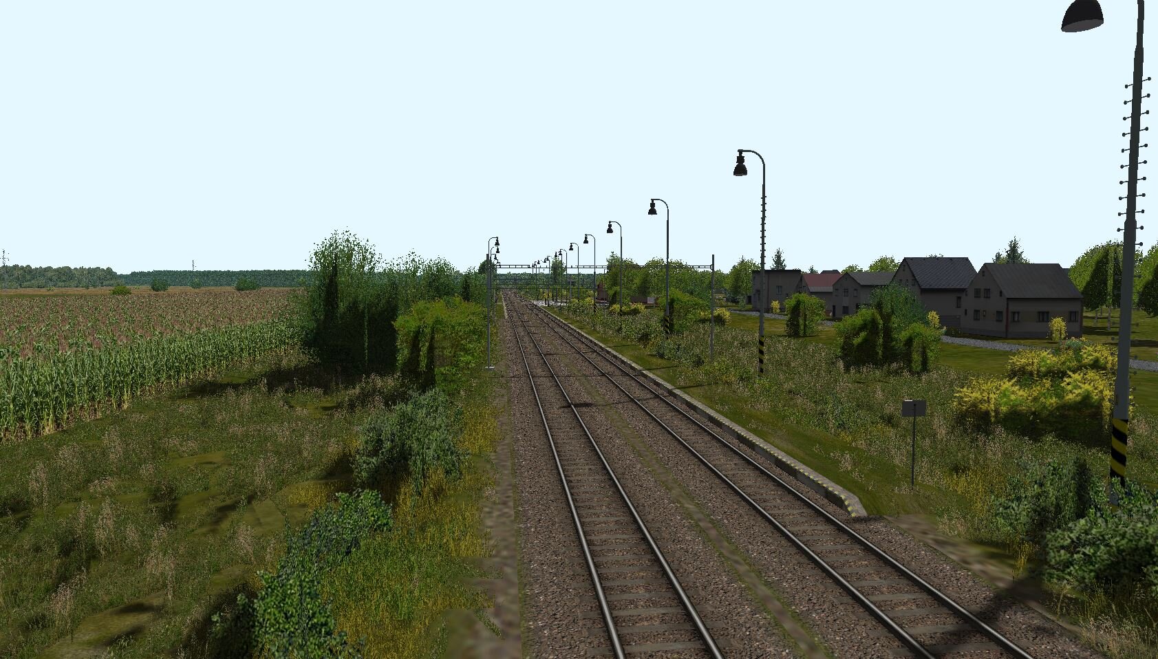 1002Brodske1.JPG
