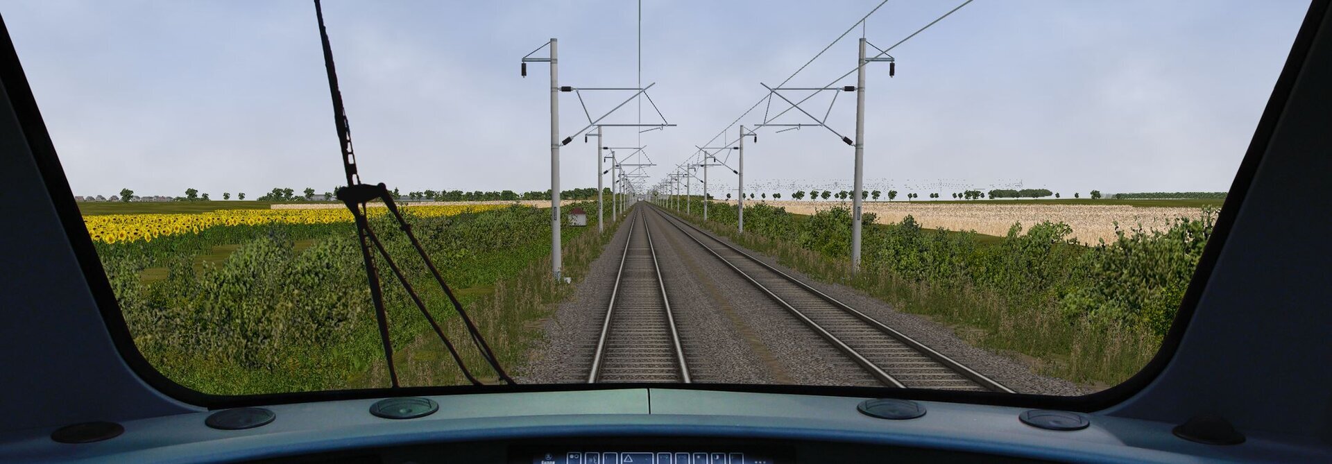 1402pole.JPG
