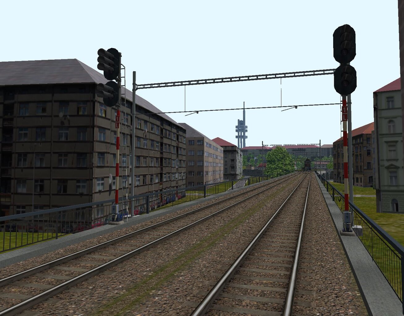 0603Negrelli3.JPG