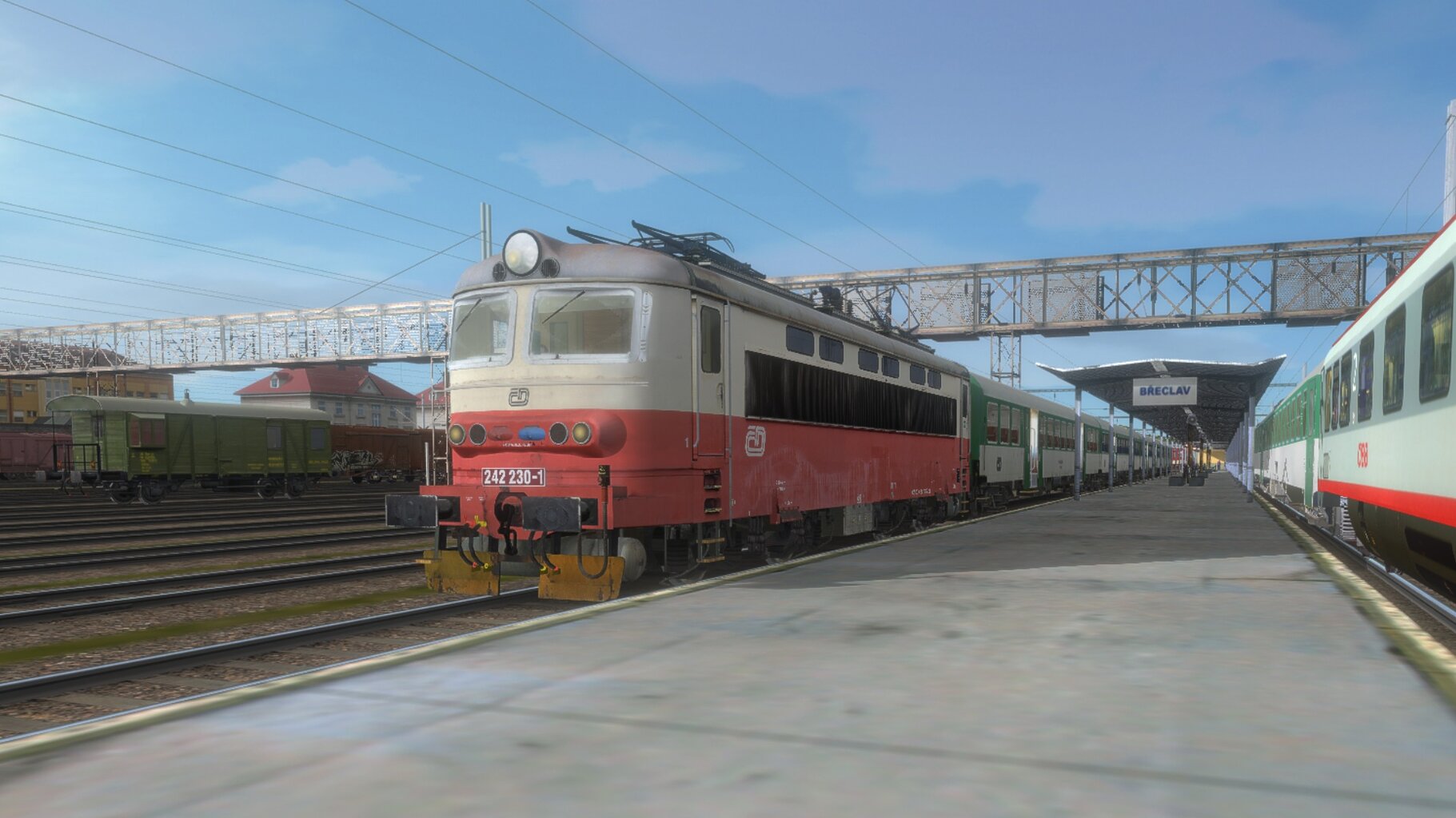 Os24570_003.jpg