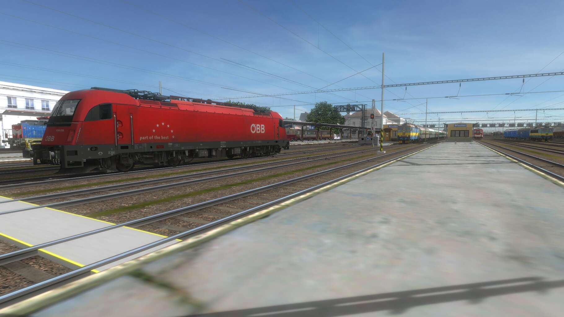 Os24570_005.jpg