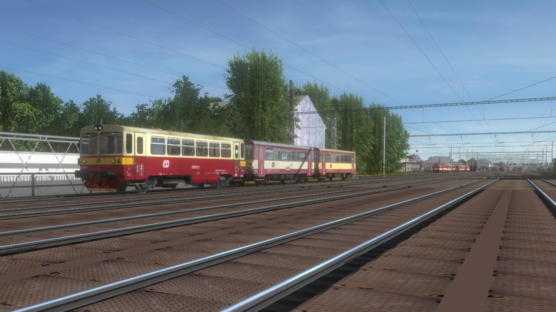 Os24570_006.jpg