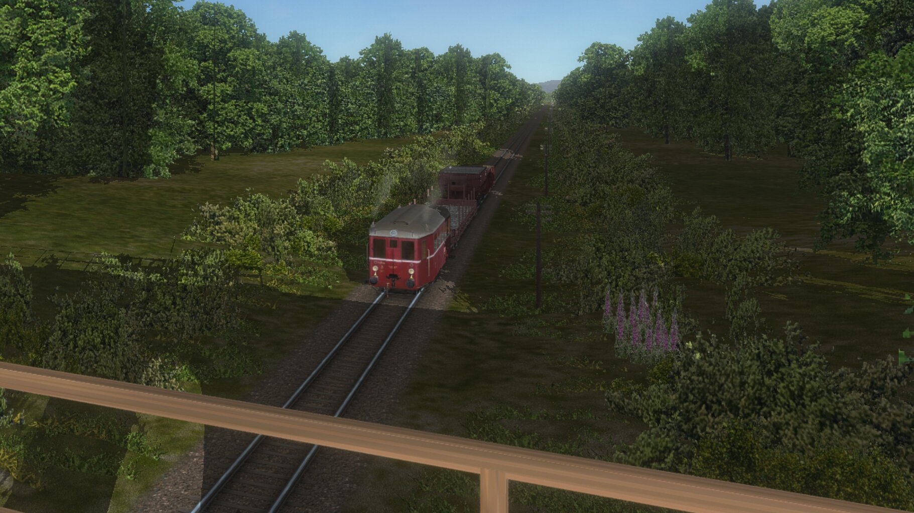 skk_016.jpg