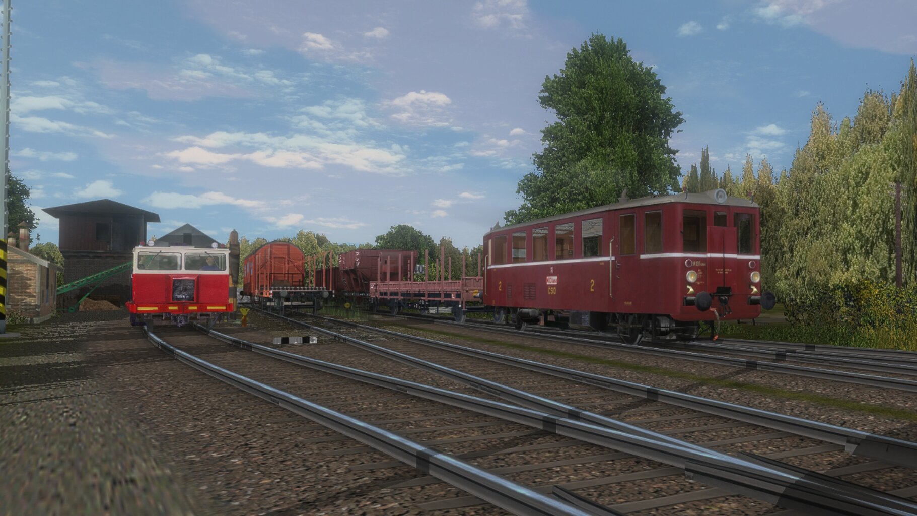 skk_010.jpg