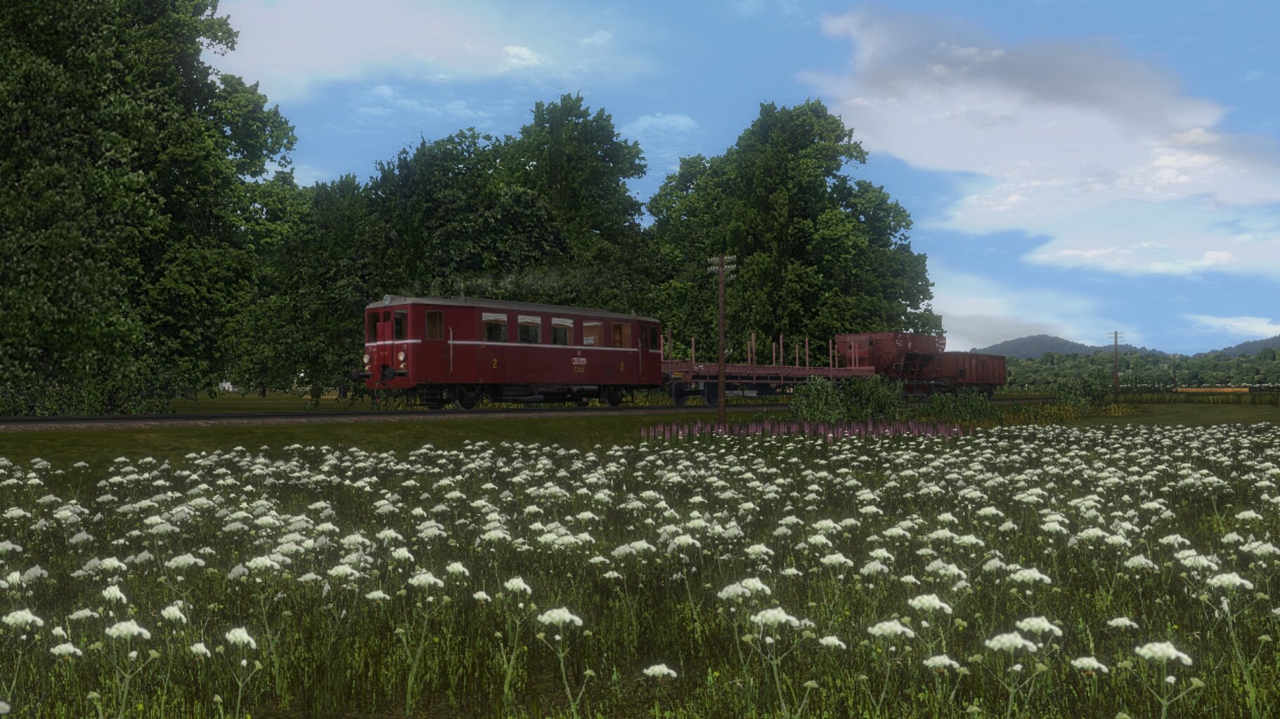skk_012.jpg