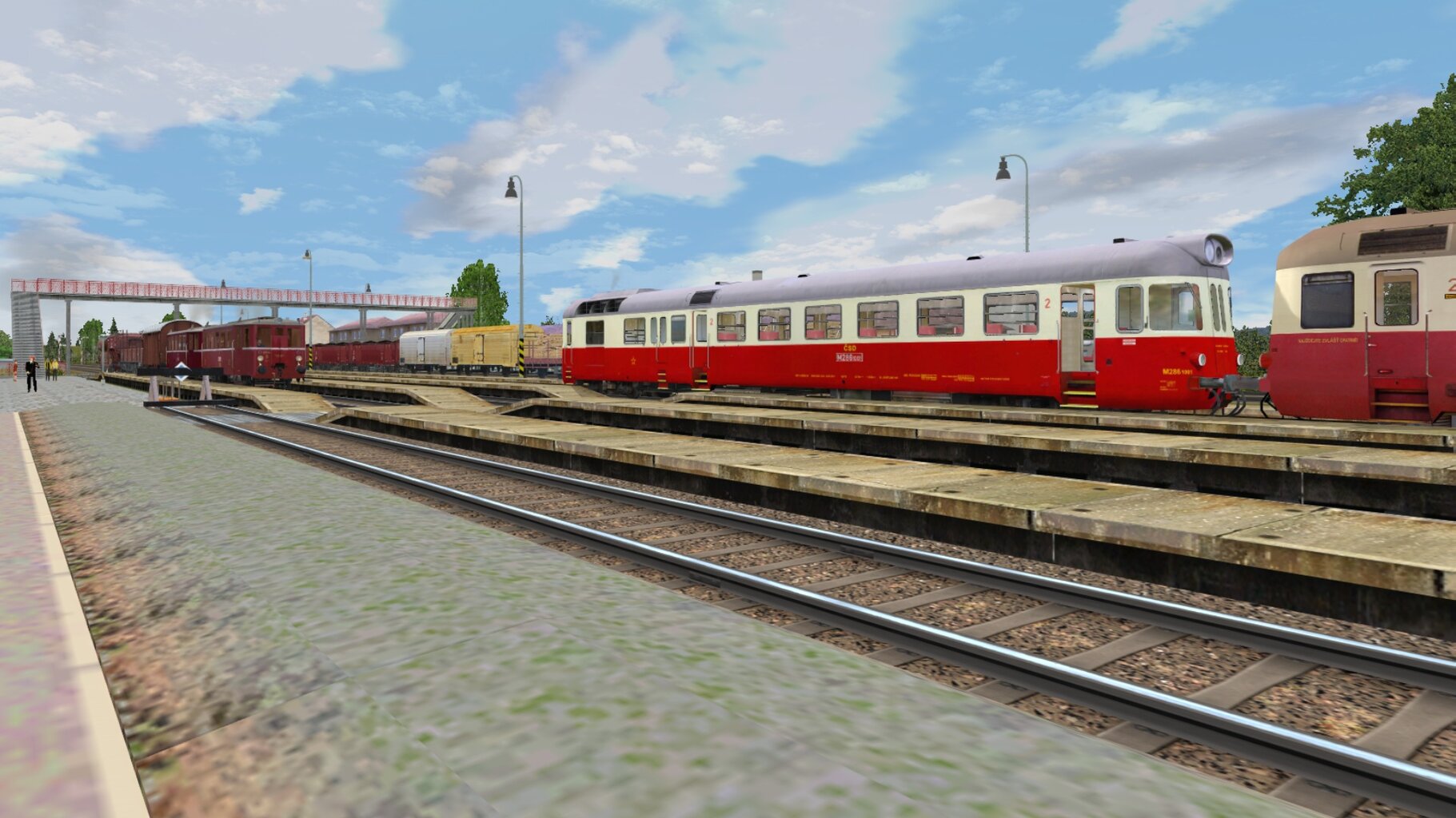 skk_011.jpg