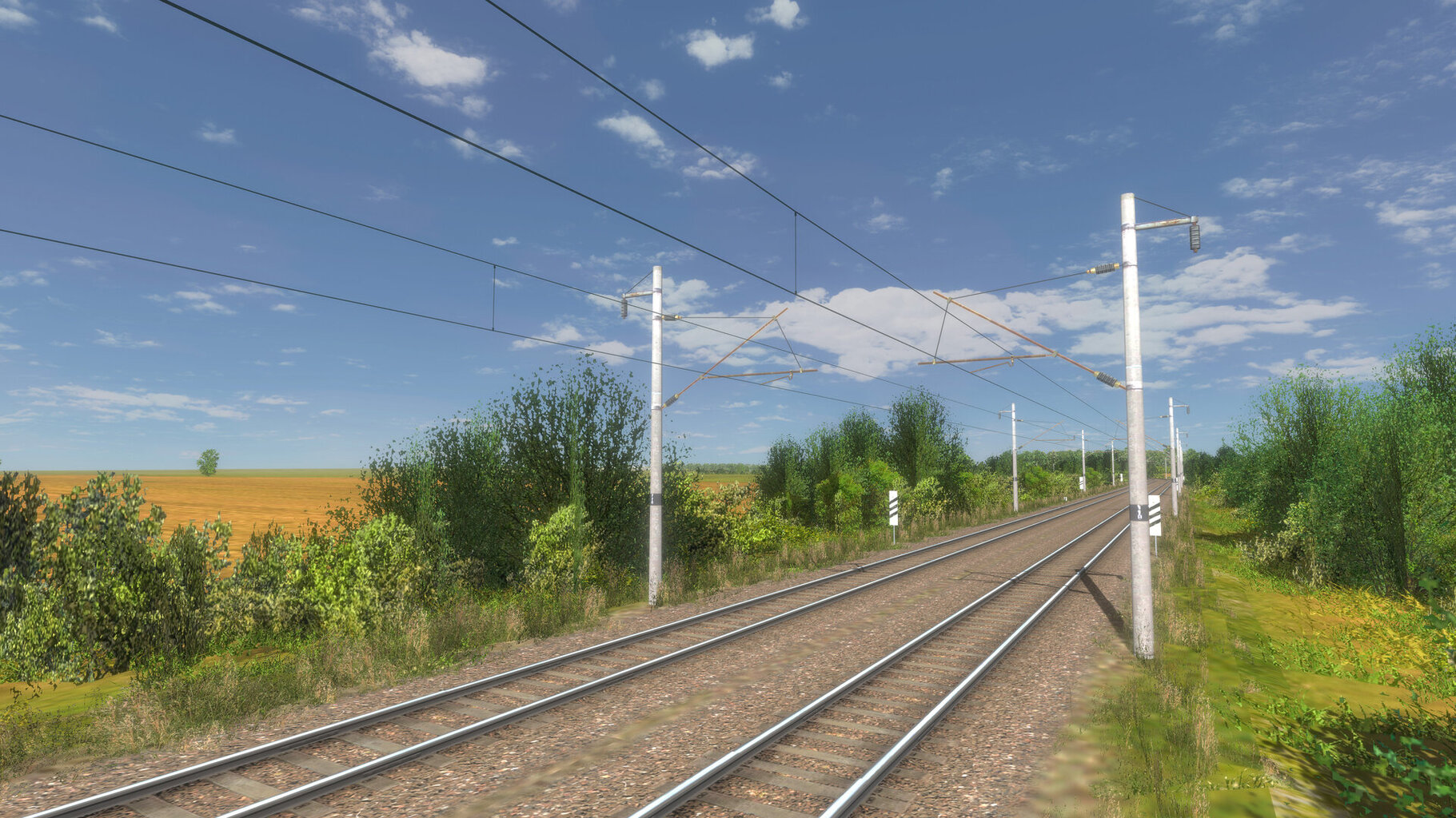 RunActivity 2025-06-15 21-57-58.jpg