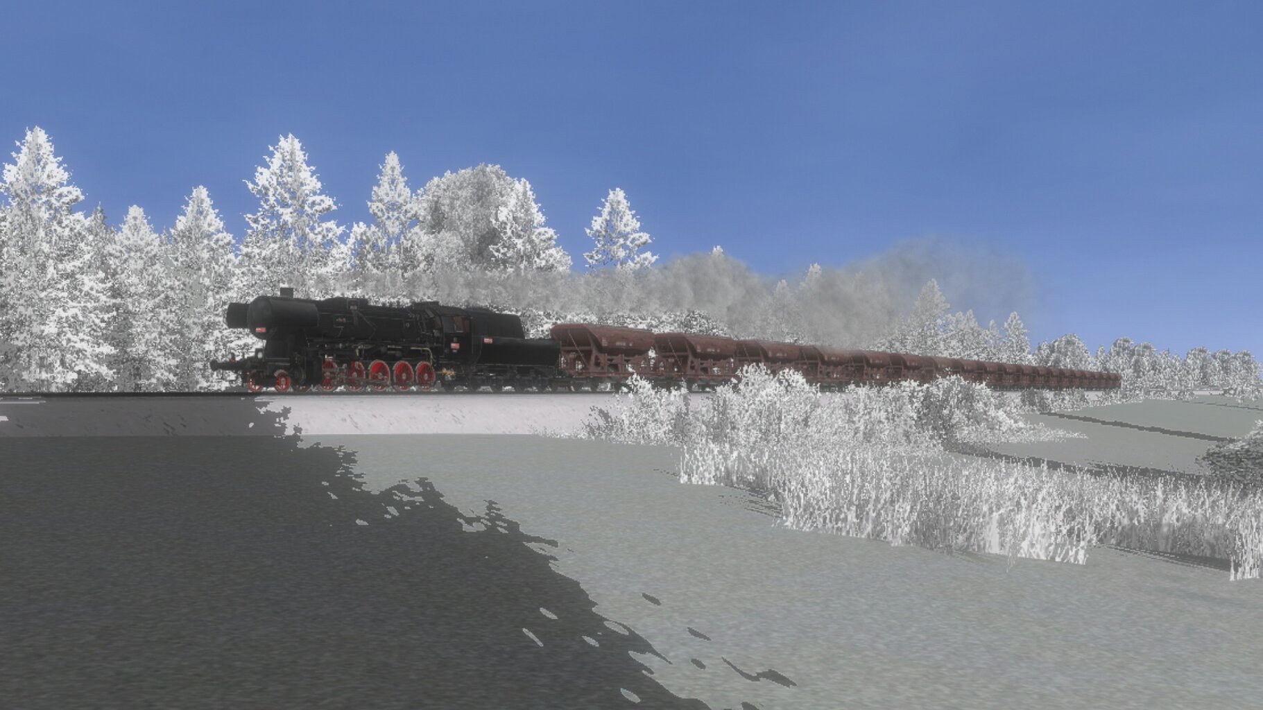 Pn_ded_004.jpg