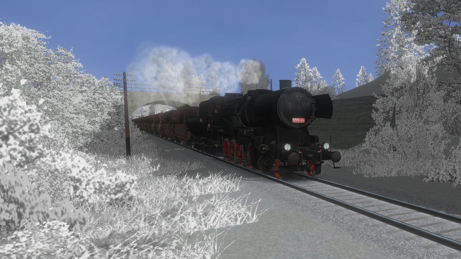 Pn_ded_007.jpg