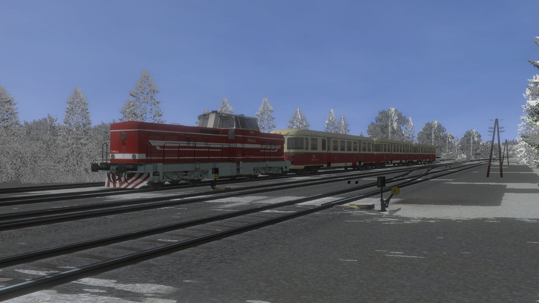 Pn_ded_004.jpg