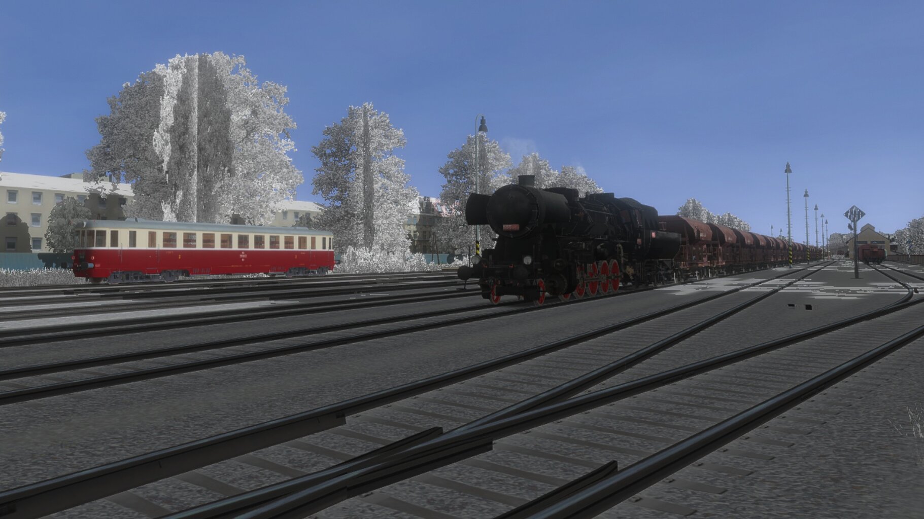 Pn_ded_005.jpg