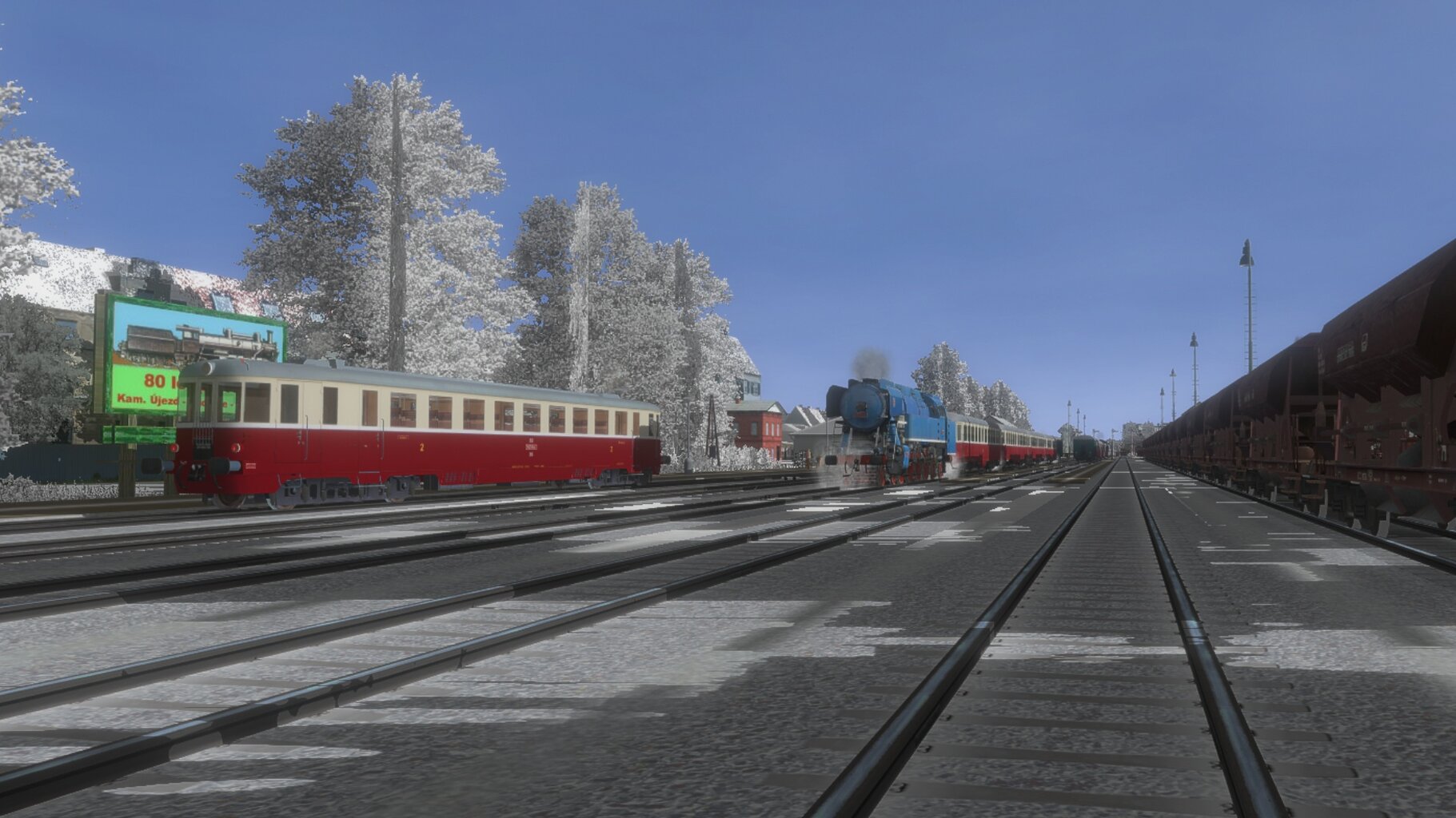 Pn_ded_006.jpg
