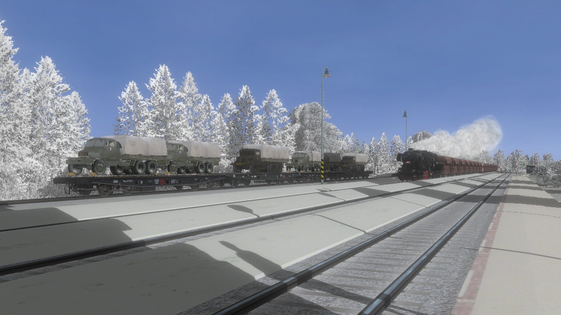 Pn_ded_012.jpg