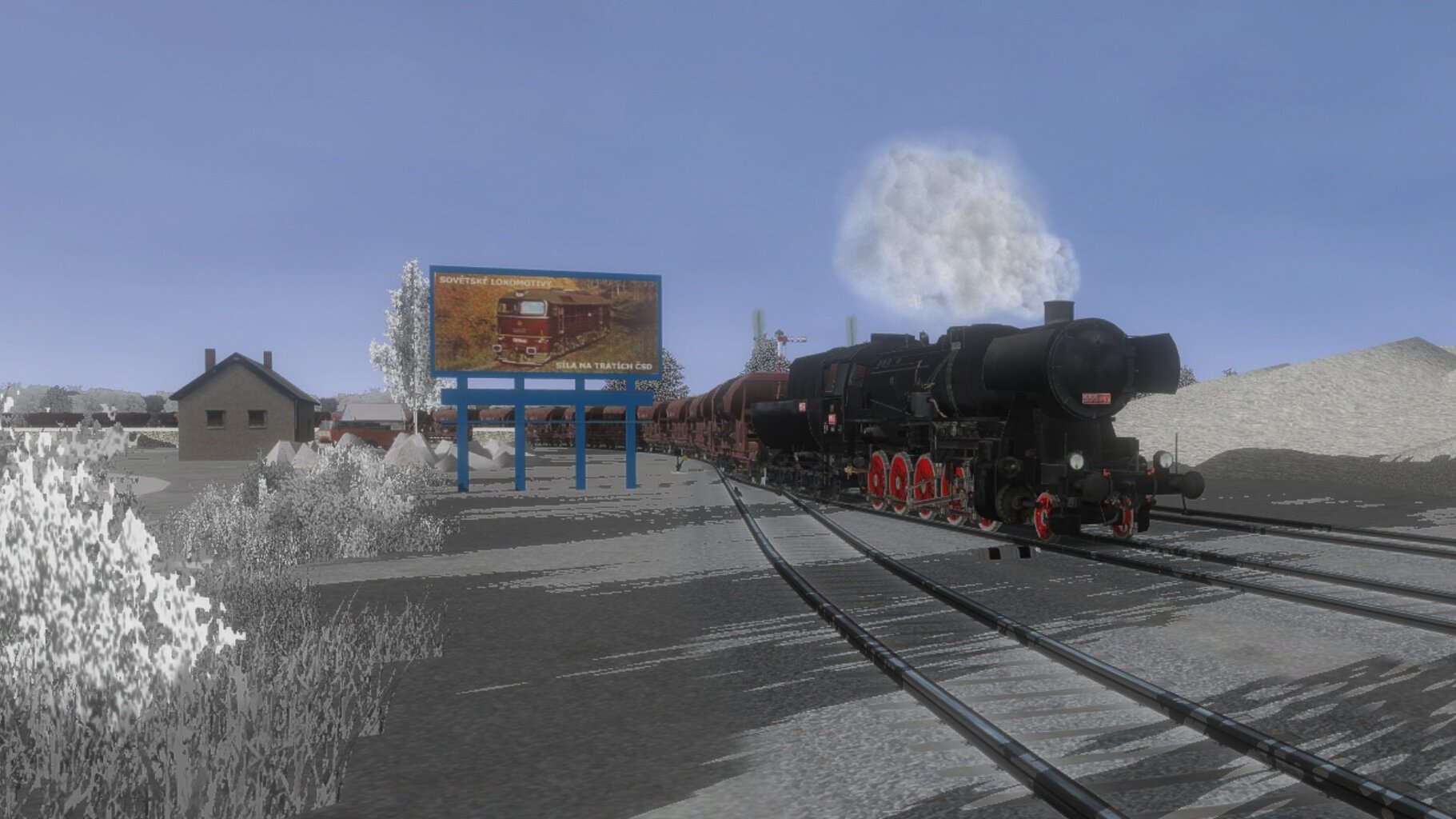 Pn_ded_016.jpg