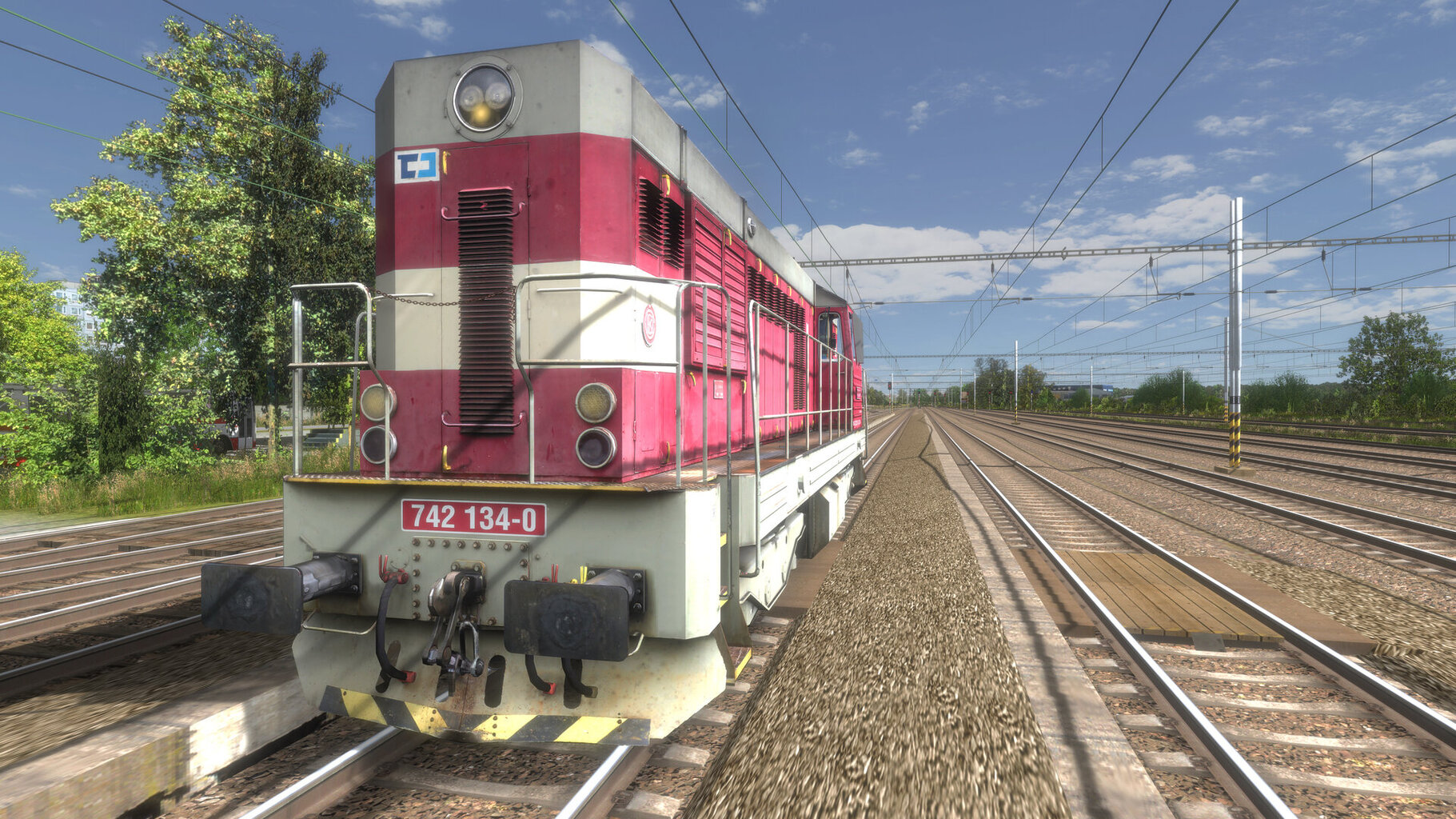 RunActivity 2025-07-27 16-15-48.jpg