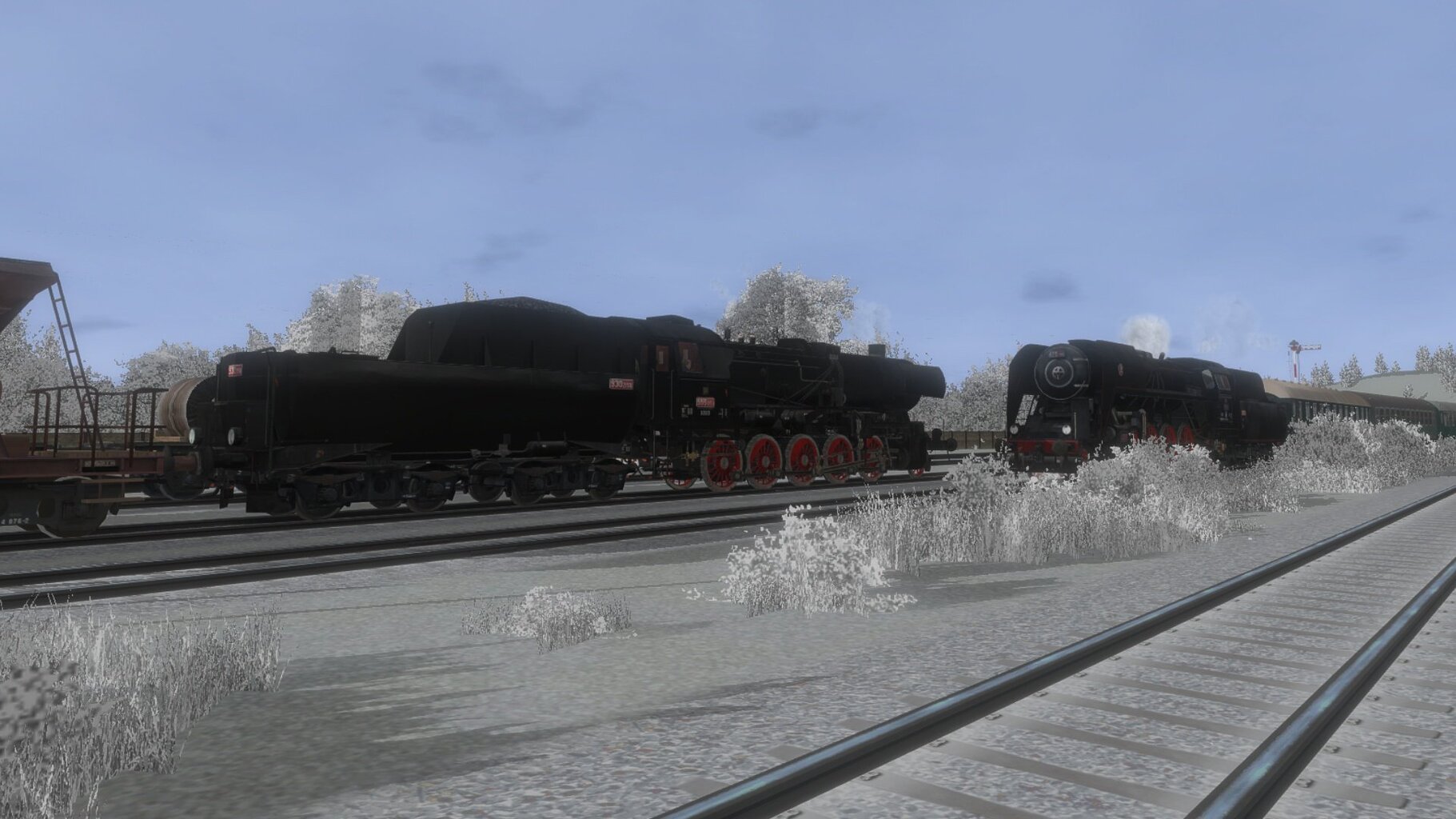 Pn_ded_006.jpg