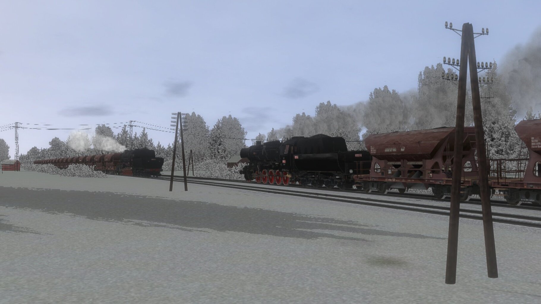 Pn_ded_010.jpg